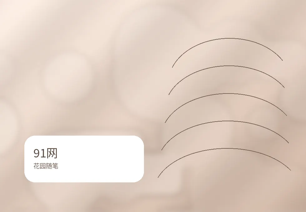 91网91网花园随笔：把焦虑交给一盆新开的花配图